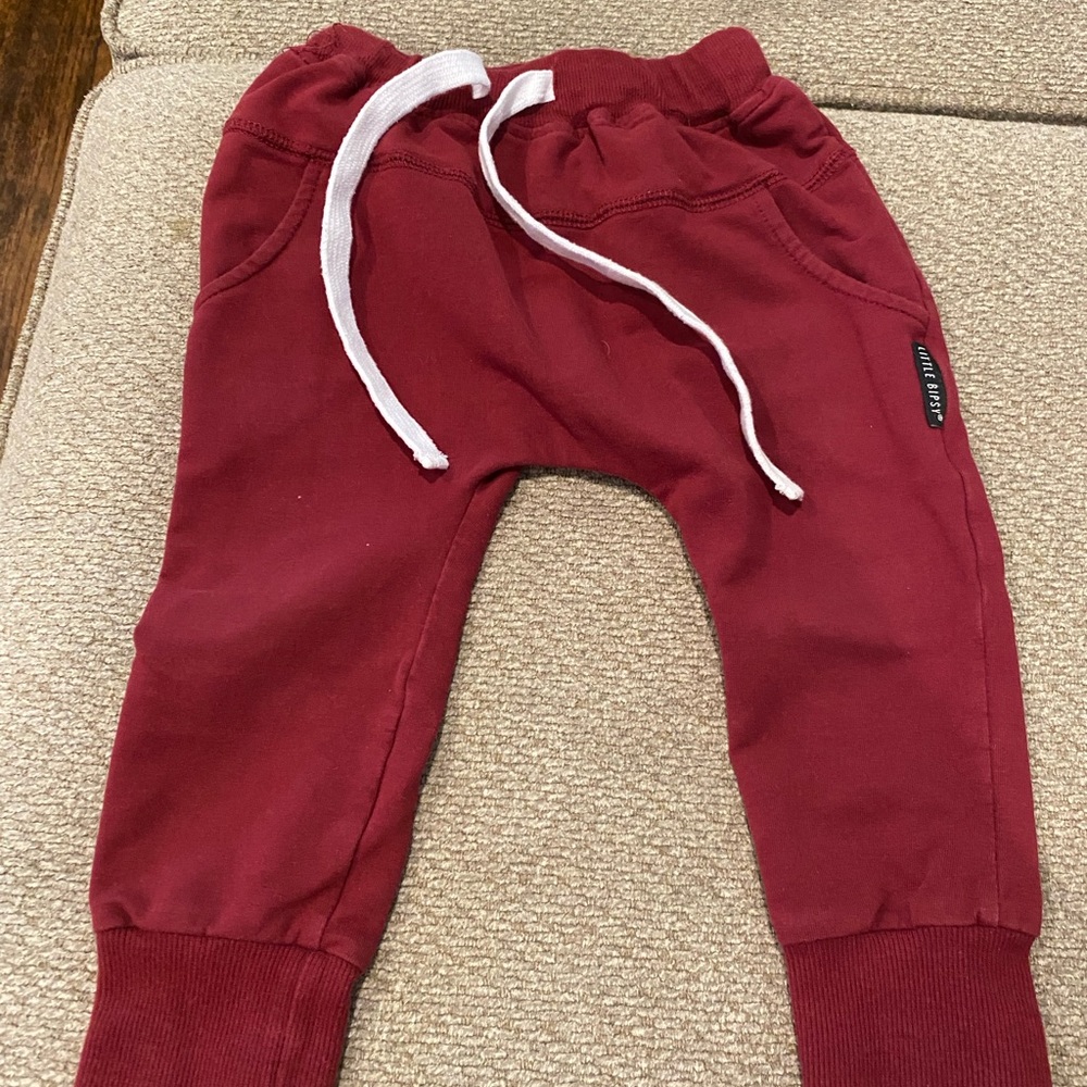 Little Bipsy Cranberry Joggers